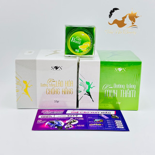 Combo kem face son nguyễn tiên chính hãng