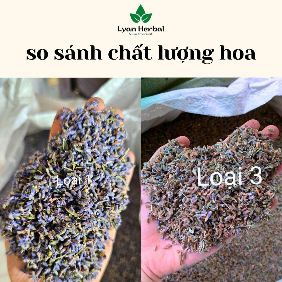 Lavender khô  hoa oải hương khô nụ làm túi thơm lavender, khử mùi đuổi muỗi, trà thảo mộc lavender