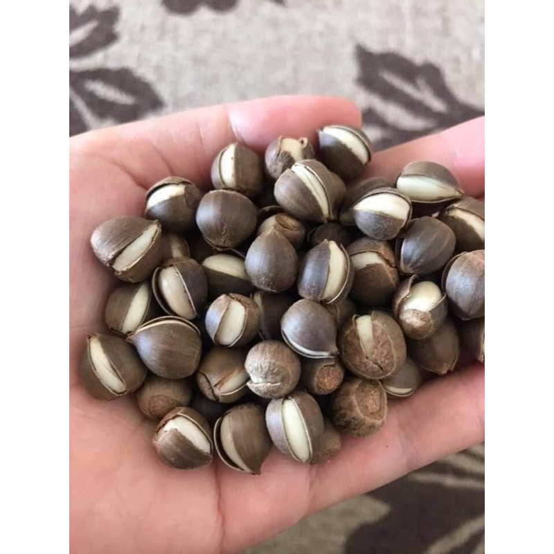 Hạt dẻ thóc rừng nếp 1kg