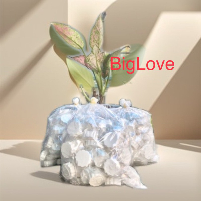 Bánh bột linh Bánh phục Linh đặc sản bình định ,giòn thơm (ngậm tan trong miệng )0.5kg-biglove