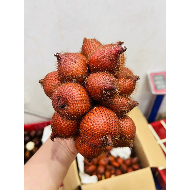 mây thái đường 1kí