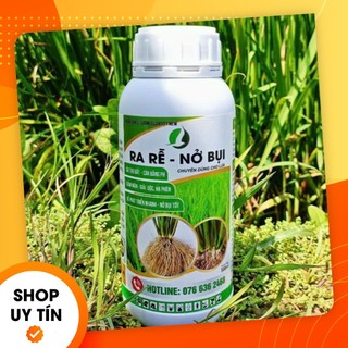 Ra rễ - nở bụi, phân bón chuyên lúa, ra rể khỏe, nở bụi to, sinh trưởng khỏe