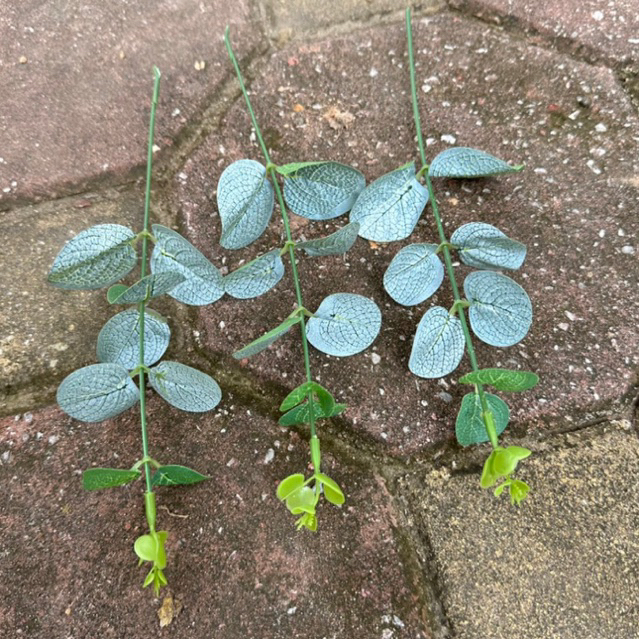 Cành lá táo rời 1 nhánh điểm bó hoa, trang trí bó hoa, cắm điểm hoa lụa, hoa handmade, trang trí phòng