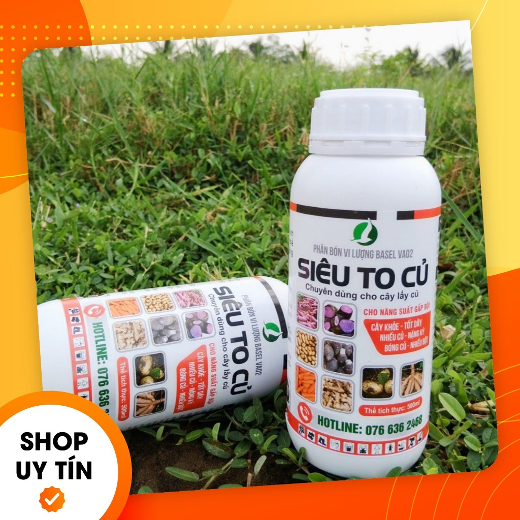SIÊU TO CỦ 500ML