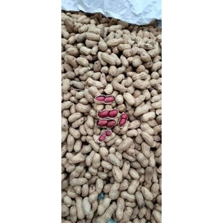 Lạc đỏ ( đậu phộng ) 500g