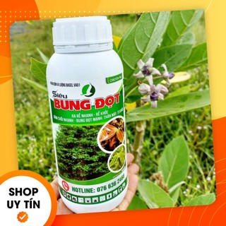 Siêu bung đọt chuyên mai chai 500ml, phân bón giúp bung chồi, tạo đọt non, ra rể mạnh