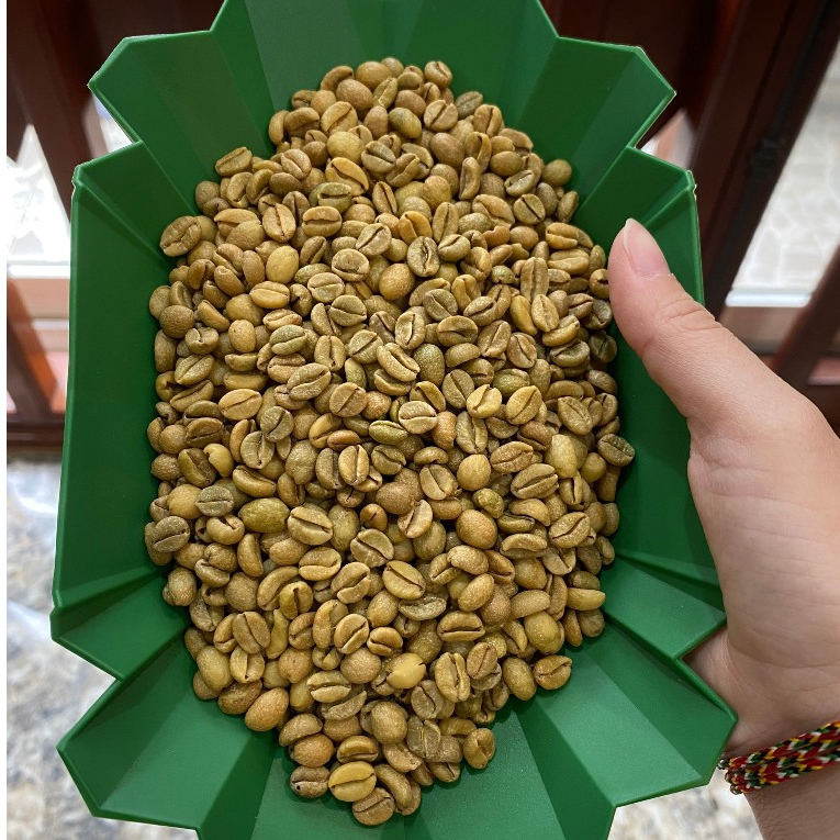 Cà Phê Nhân Xanh Liberica Khe Sanh Quảng Trị - Thương Hiệu Chamlife Coffee Túi 1000g