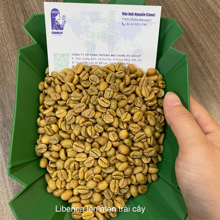 Cà Phê Nhân Xanh Liberica Khe Sanh Quảng Trị - Thương Hiệu Chamlife Coffee Túi 1000g
