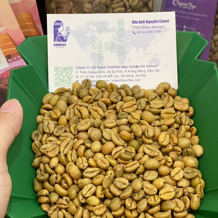 Cà Phê Nhân Xanh Liberica Khe Sanh Quảng Trị - Thương Hiệu Chamlife Coffee Túi 1000g