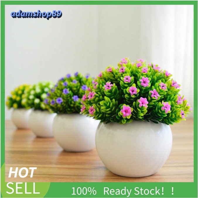 Chậu cây hoa sao điểm giả để bàn trang trí nội thất sinh động Mini