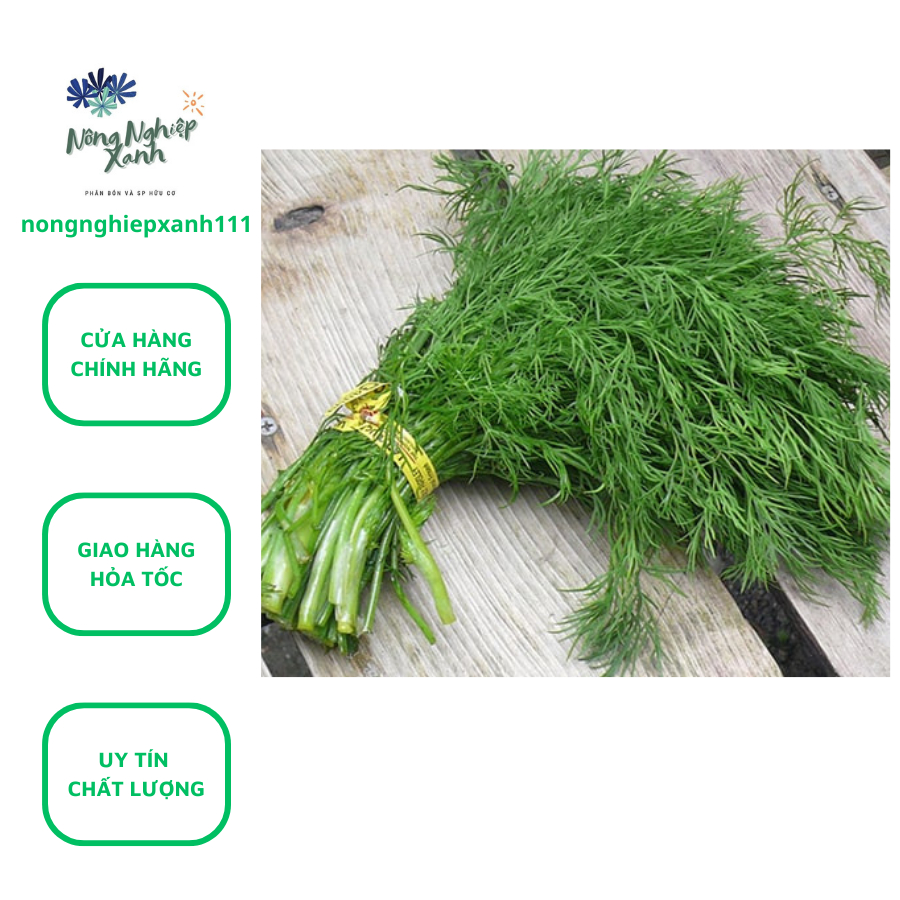 Hạt giống Rau Thì Là, hạt giống thì là gói 5g