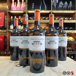  Rượu Vang Trắng White Wine Rượu Vang Pháp Chateau Terre Blanque White 12% 750ml - Wine Wander 