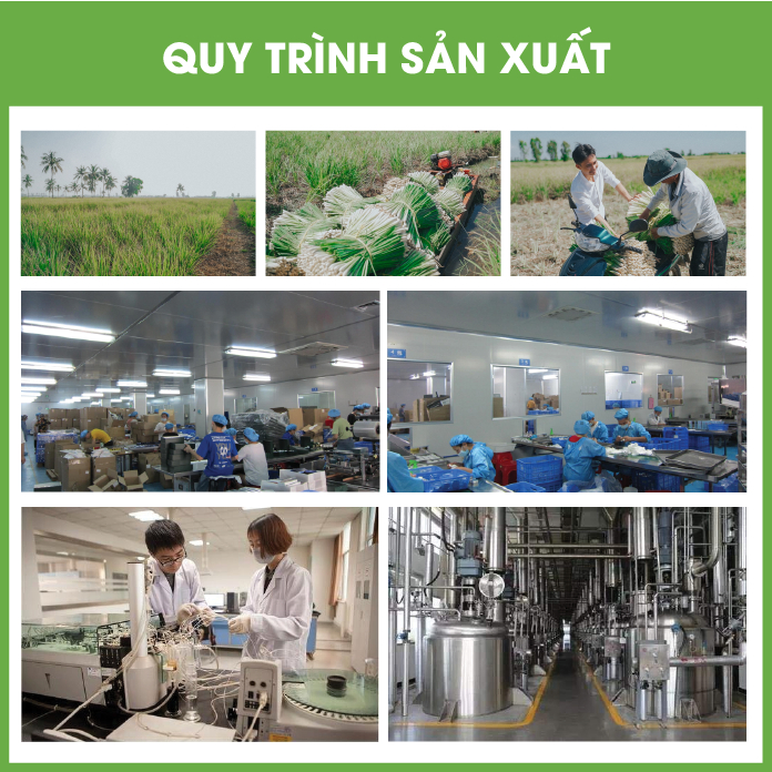 Tinh dầu Trà Trắng nguyên chất hữu cơ MỘC THỦY khử mùi làm thơm phòng thư giãn 1L/5L - Đạt chuẩn chất lượng
