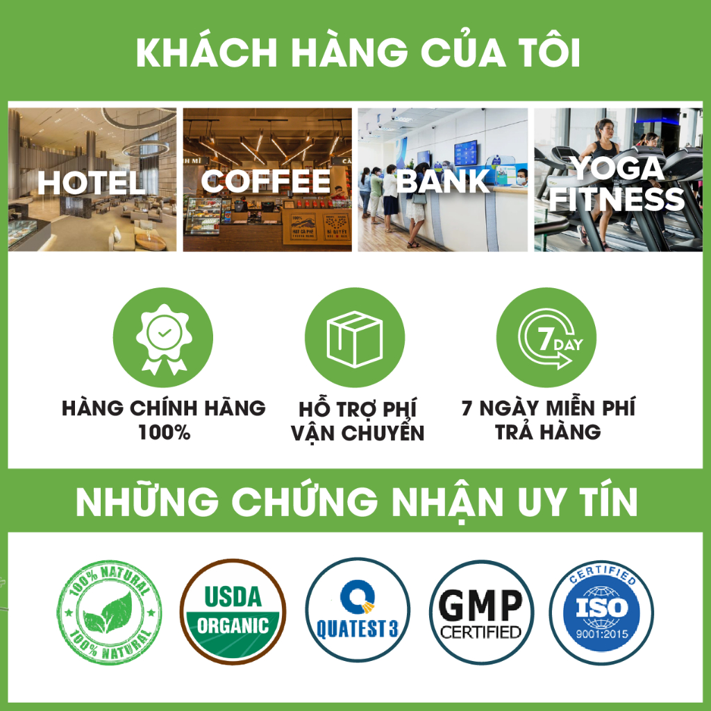 Tinh dầu Trà Trắng nguyên chất hữu cơ MỘC THỦY khử mùi làm thơm phòng thư giãn 1L/5L - Đạt chuẩn chất lượng