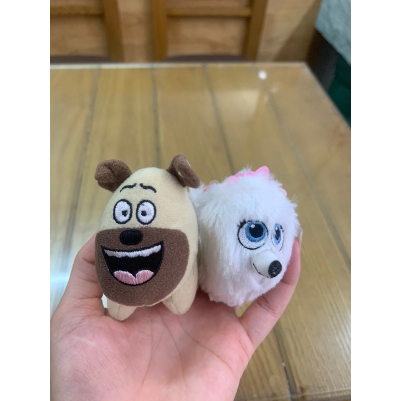 Pets thú cưng mini