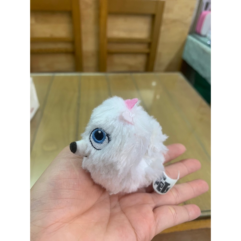 Pets thú cưng mini