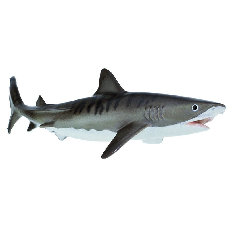 Mô hình động vật , đồ chơi con vật Safari Ltd chính hãng Cá mập hổ 211702 - Schleich House