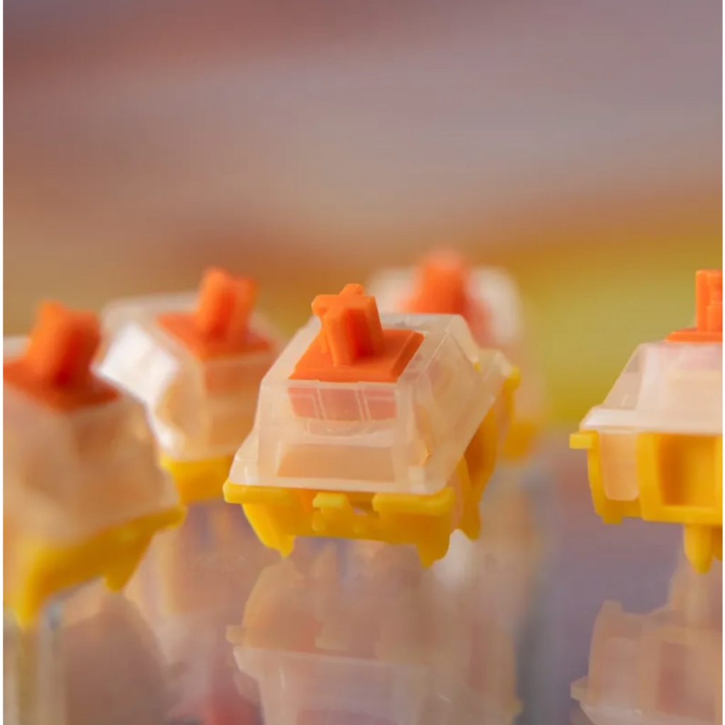 Công tắc bàn phím cơ | Switch Gateron EF Curry