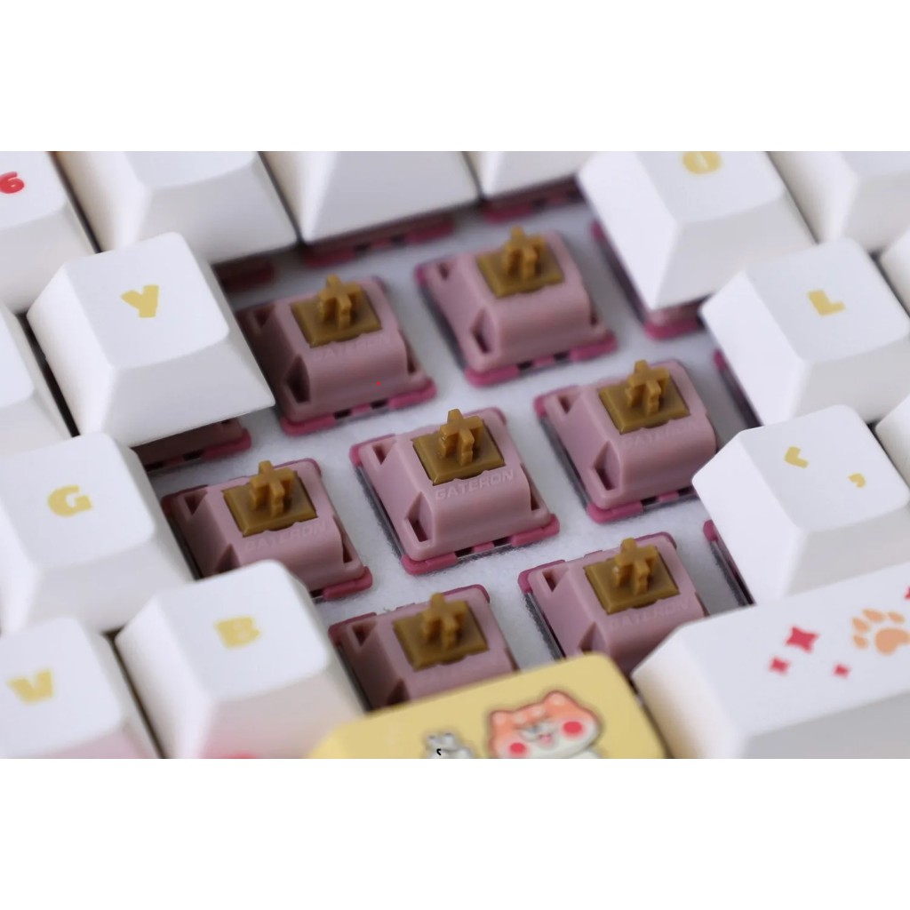 Công tắc bàn phím cơ | Switch Gateron Mountain Top