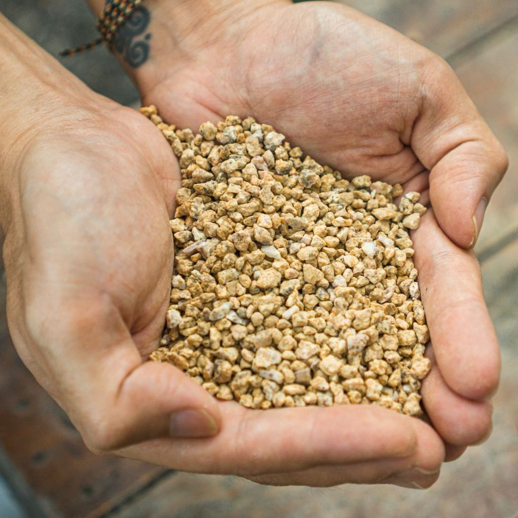 Đá Masato - Sạch bụi, không vụn - Rải mặt, Kích rễ, giúp sen đá lên màu nhanh | Bloom Garden