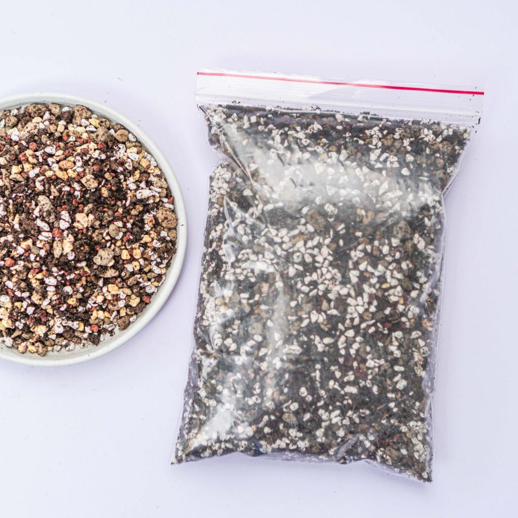 Đất trồng sen đá - Bao chiết từ bao Soil Mix 6kg - Nhanh ra rễ, cây lên màu siêu đẹp | Bloom Garden