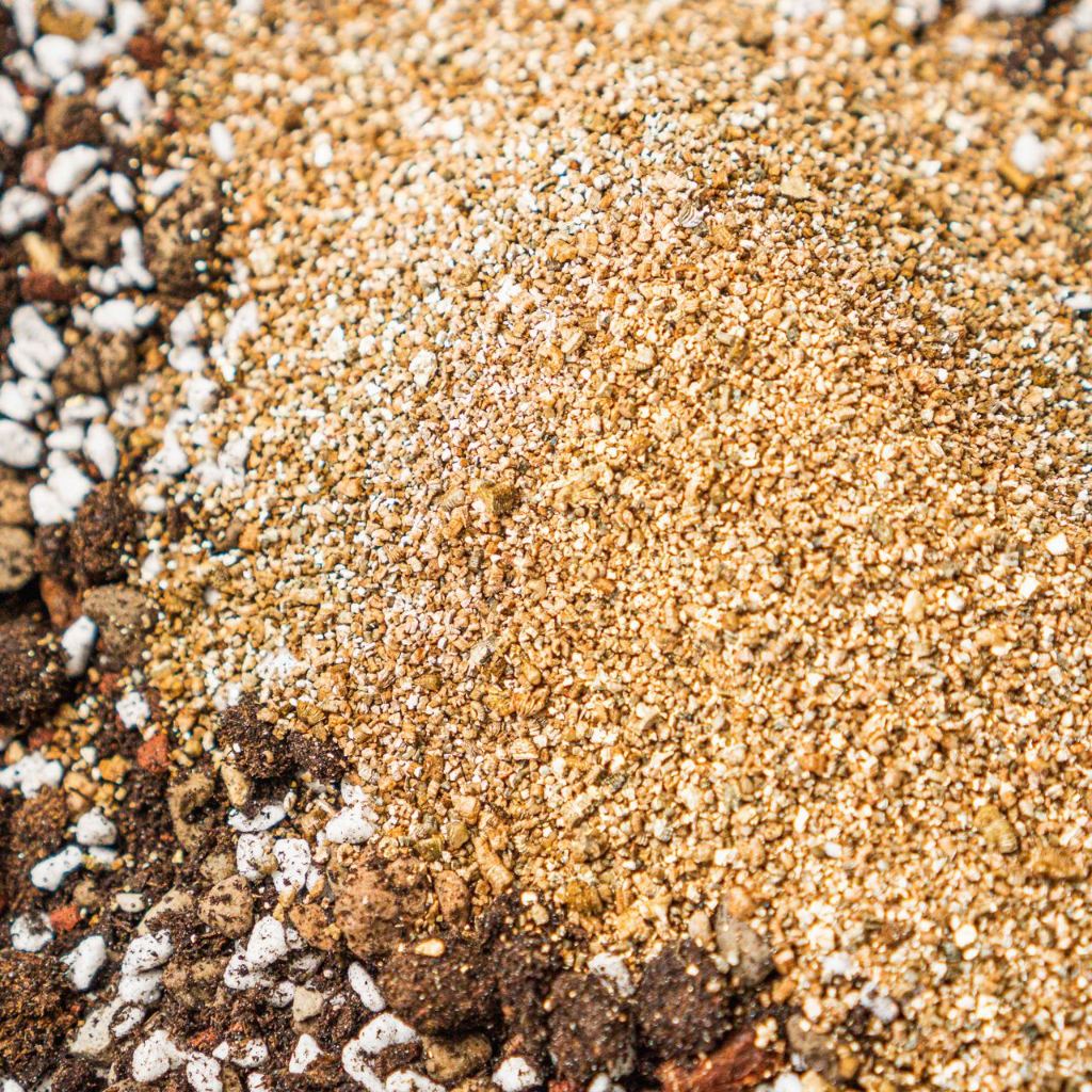 Đá Vermiculite - Giúp sen đá nảy mầm, phát rễ, lên màu | Bloom Garden