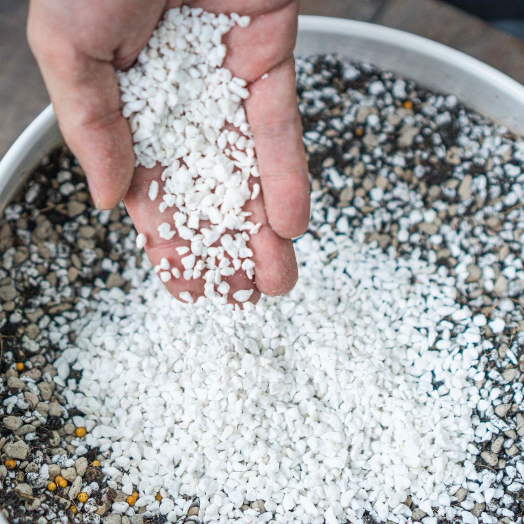 Đá Perlite - Đá Trân Châu nhập khẩu cao cấp- Trộn giá thể, thoát nước tốt, tăng độ thoáng cho rễ | Bloom Garden