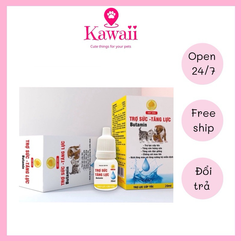 Dung dịch Uống Trợ Sức Tăng Lực Tăng Cường Trao Đổi Chất Butamin Wins Group 20ml
