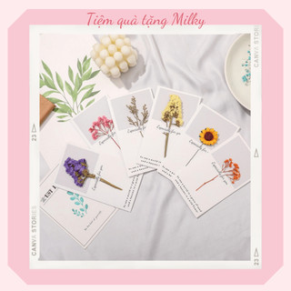 Thiệp hoa khô handmade, thiệp gắn hoa khô cao cấp phong cách vintage nhiều mẫu cực xinh