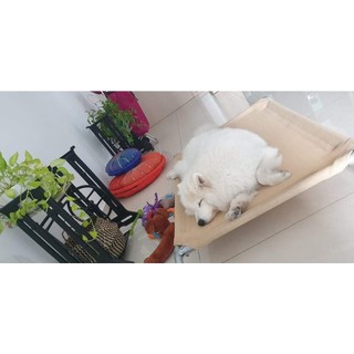 ❤️ GIƯỜNG CHÓ YÊU ❤️ SIÊU BỀN, Dễ vệ sinh & Thay Lưới được (Size M)