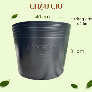 Chậu nhựa đen C16 , chậu trồng cây cỡ to