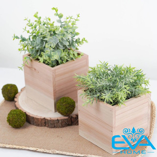 Chậu gỗ vuông trồng cây , chậu gỗ trụ vuông để bàn , hộp gỗ vuông đựng quà trang trí decor vuông 10 x 10 cm