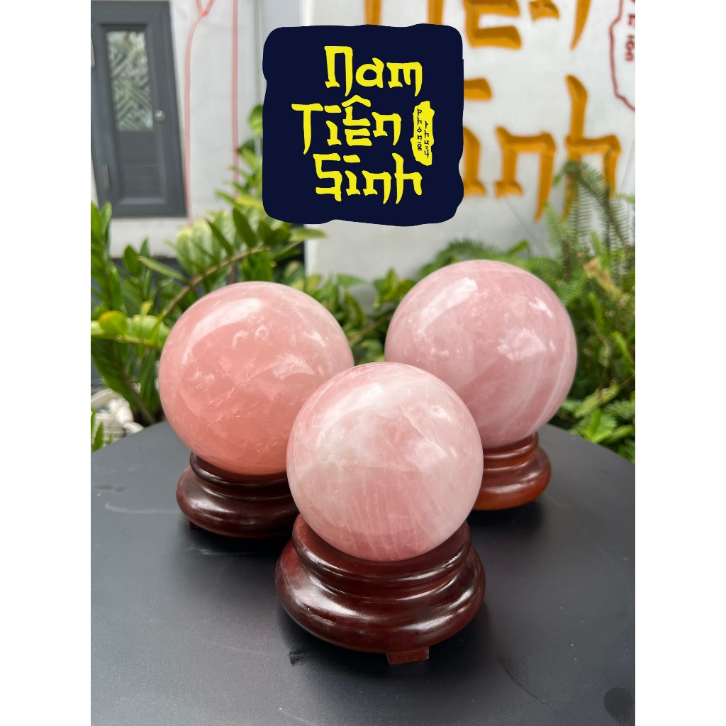( Không kèm đế , mua đế riêng)