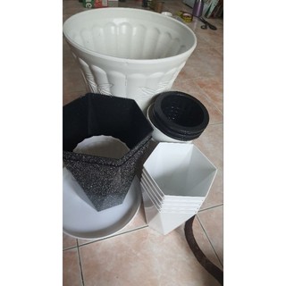 Combo chậu nhựa theo yêu cầu.