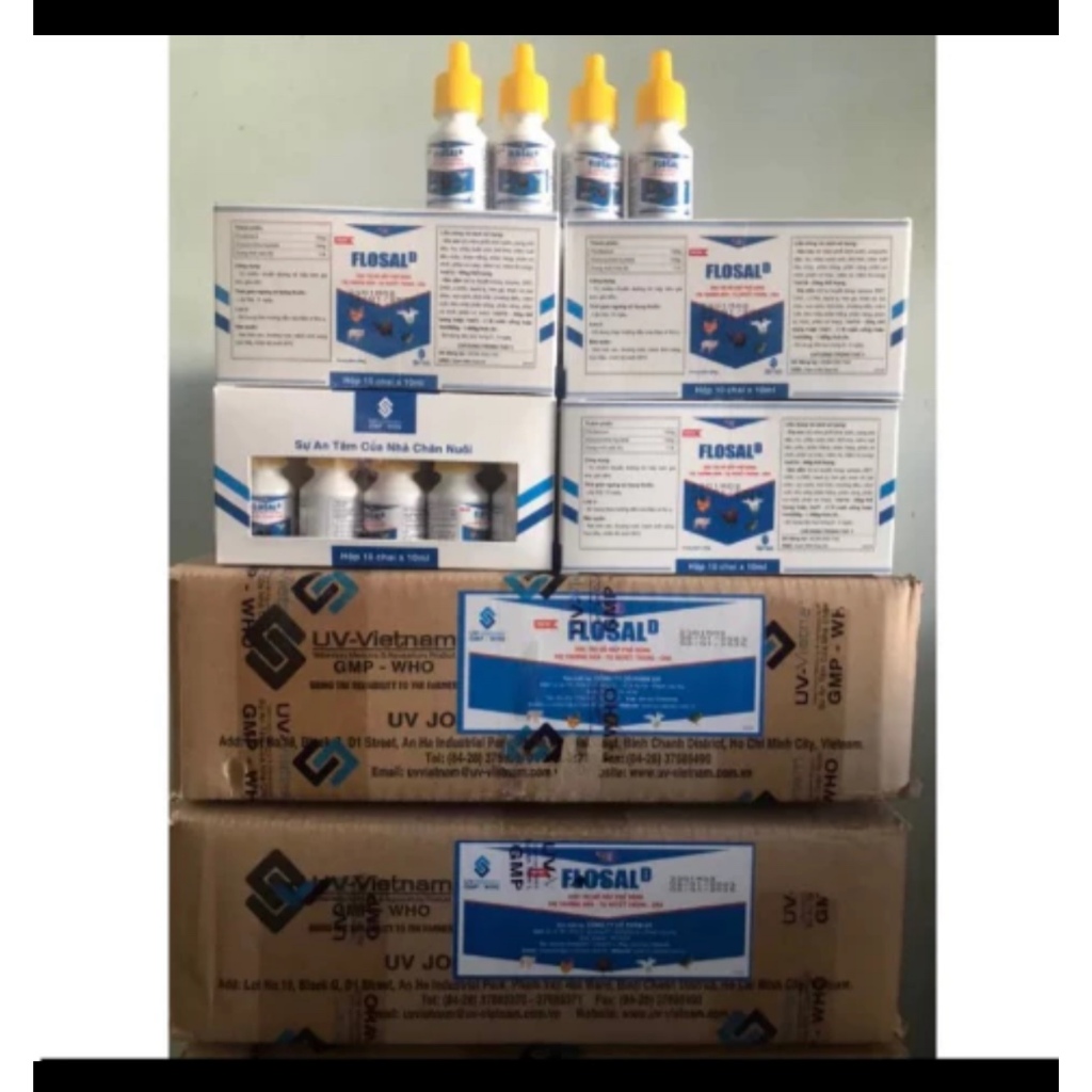 Combo 10 lọ Flosal D 10ml