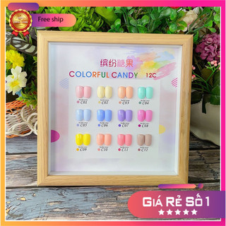 Set sơn 12 màu candy cao cấp ANIREGIN chính hãng - tặng kèm bảng màu
