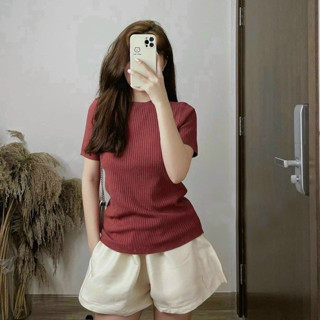Áo thun body tay ngắn chất gân cotton basic size S M L XL len tăm cổ tròn ôm phông nữ big size F16-1
