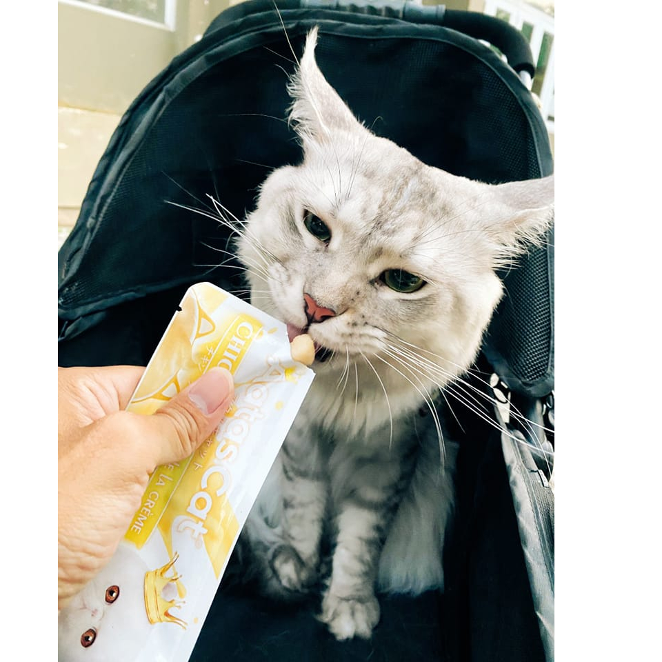 Kem Thưởng Aatas Thơm Ngon Khó Cưỡng Cho Mèo Gói 16Gr