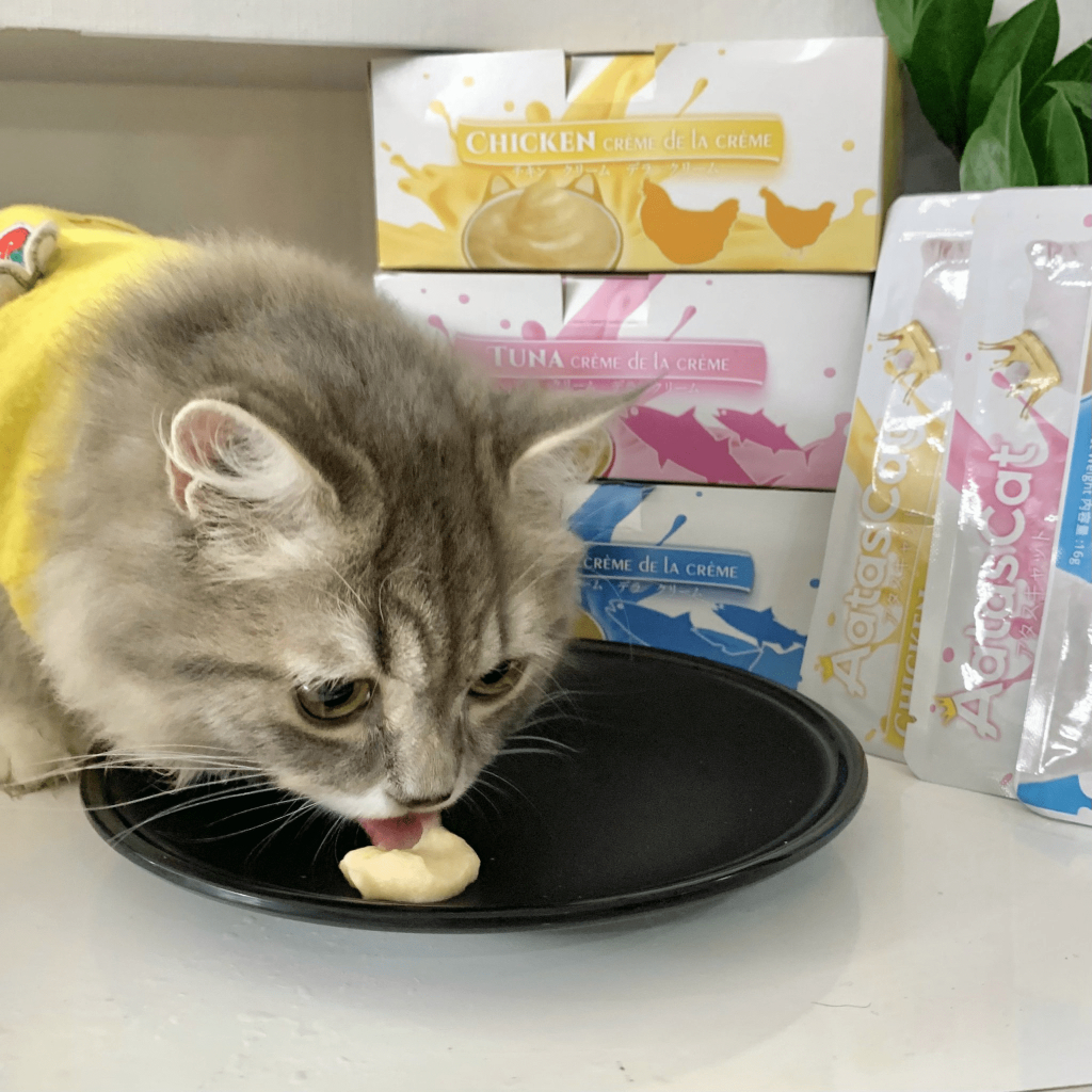 Kem Thưởng Aatas Thơm Ngon Khó Cưỡng Cho Mèo Gói 16Gr