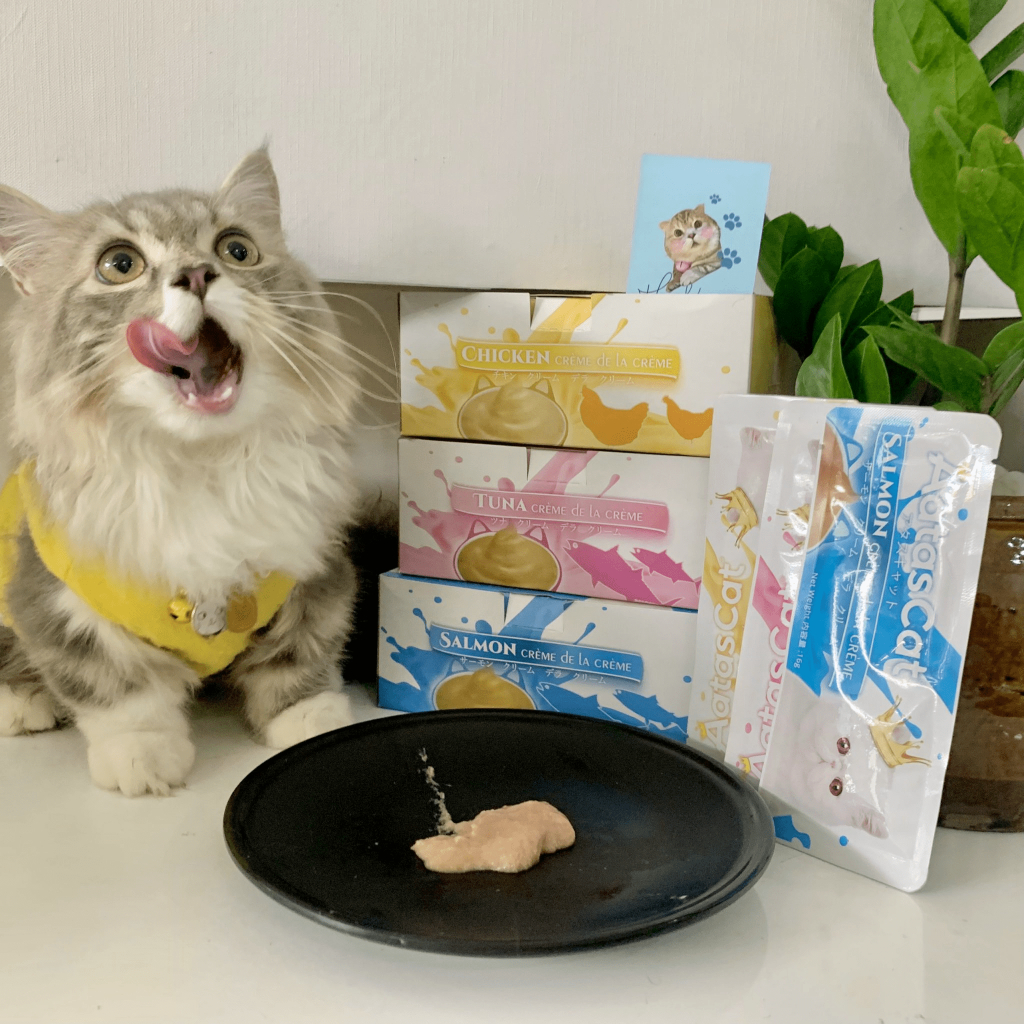 Kem Thưởng Aatas Thơm Ngon Khó Cưỡng Cho Mèo Gói 16Gr