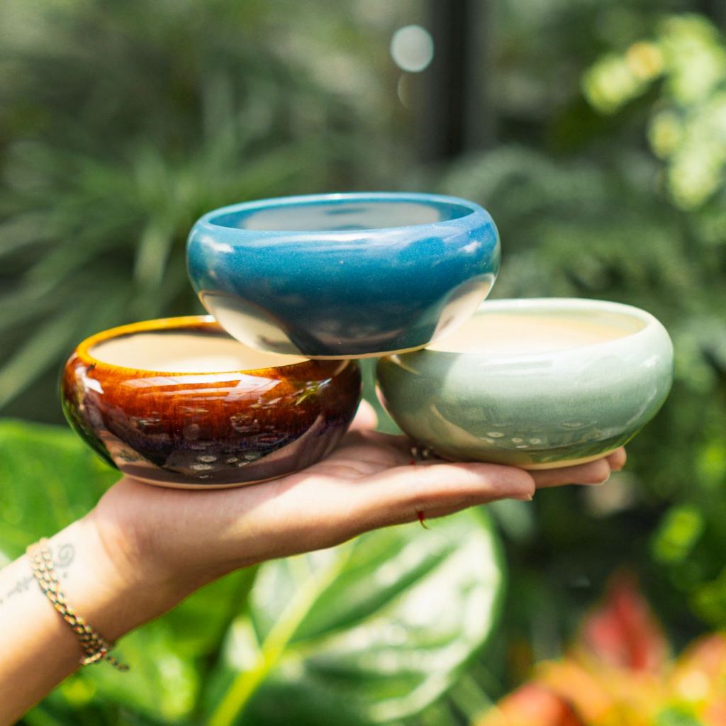 Chậu Men Vintage mini - Ang bo không ế  - Men loại 1 - Trồng cây gì cũng rất là nghệ thuật | Bloom Garden