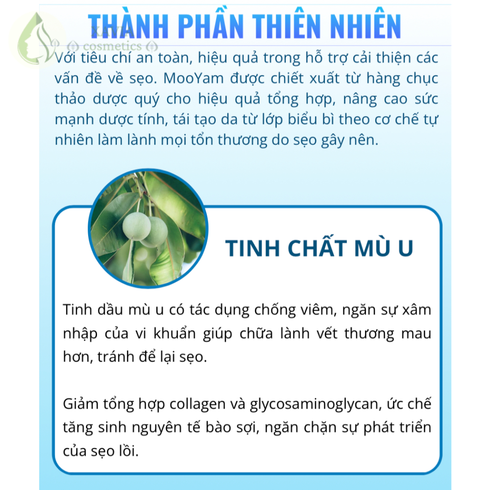 Kem mờ sẹo tinh dầu mù u từ Anh Quốc MOOYAM, Hỗ trợ mờ sẹo cũ, Đầy sẹo lõm, Làm mờ sẹo thâm - XAVIA COSMETICS