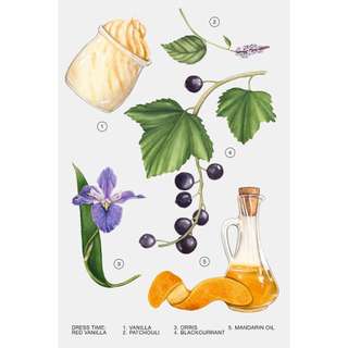 Nước hoa nữ Zara Red Vanilla 30ml