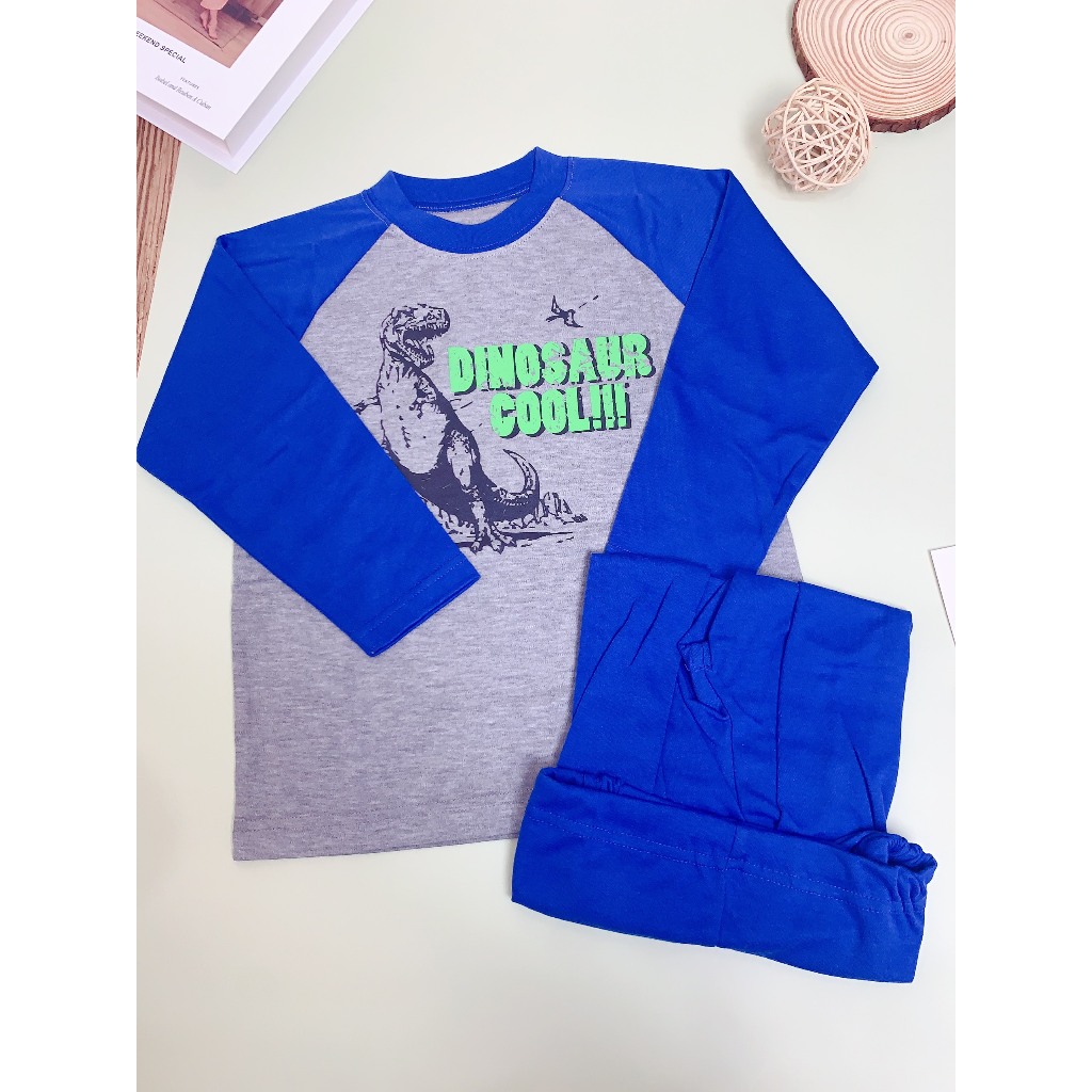 Đồ Bộ Tay Dài Chất Liệu Thun Cotton Cho Bé Trai Bé Gái 17 - 18 Kg