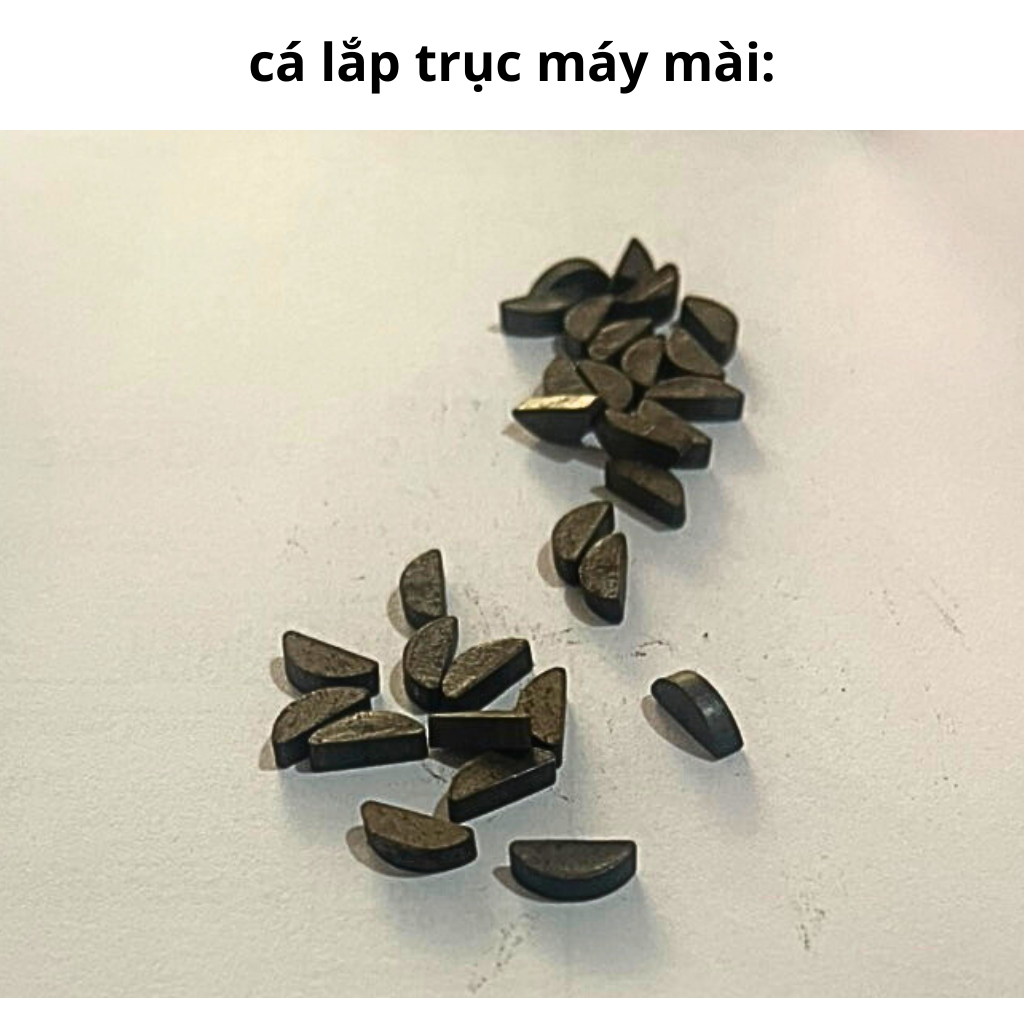 Cá hãm lắp trục máy mài