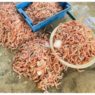 Tôm sắt bóc nõn 1kg