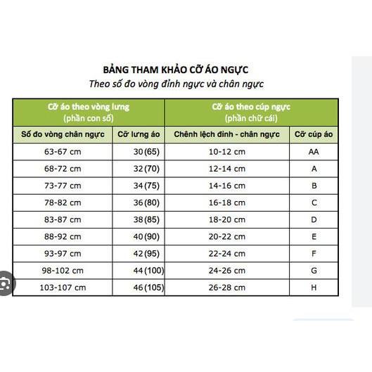 Áo lót su FASSION 32 đệm vừa không gọng chất đẹp phù hợp vòng 1 vừa và to