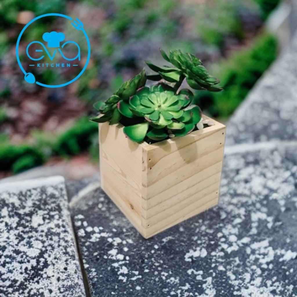 Chậu gỗ Vuông Trồng Cây , Chậu Gỗ Trụ Vuông Để Bàn , Hộp Gỗ Vuông Đựng Quà Trang Trí Decor Vuông 8 x