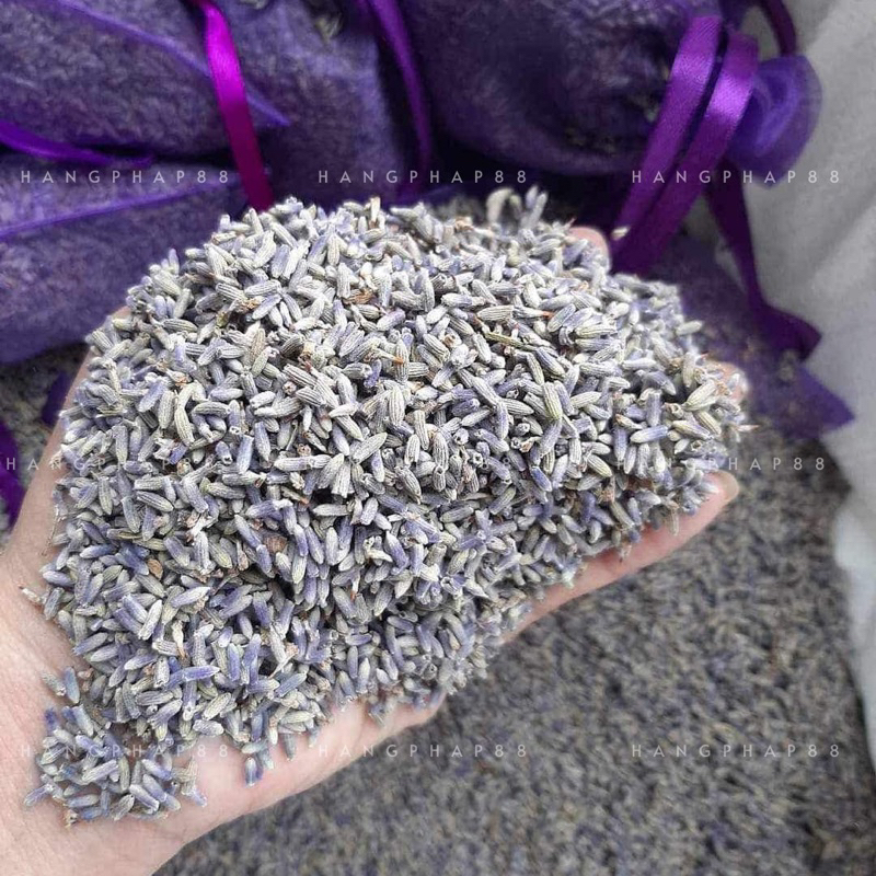 Túi thơm nụ Lavender  Pháp