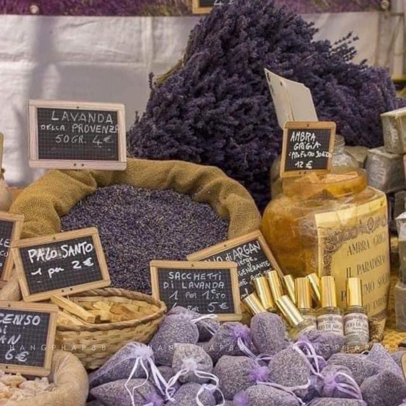 Túi thơm nụ Lavender  Pháp